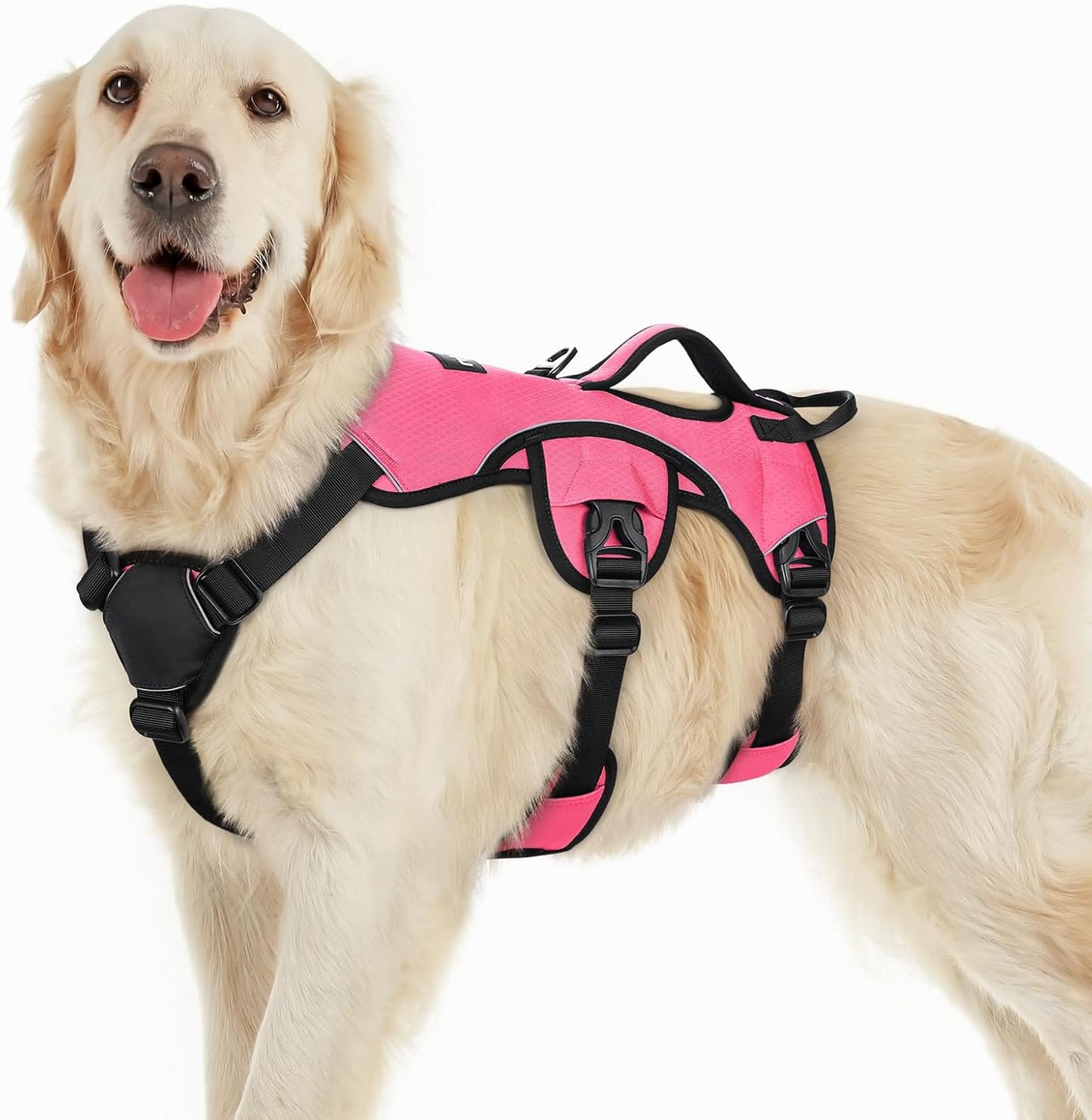 Rabbitgoo dog harness