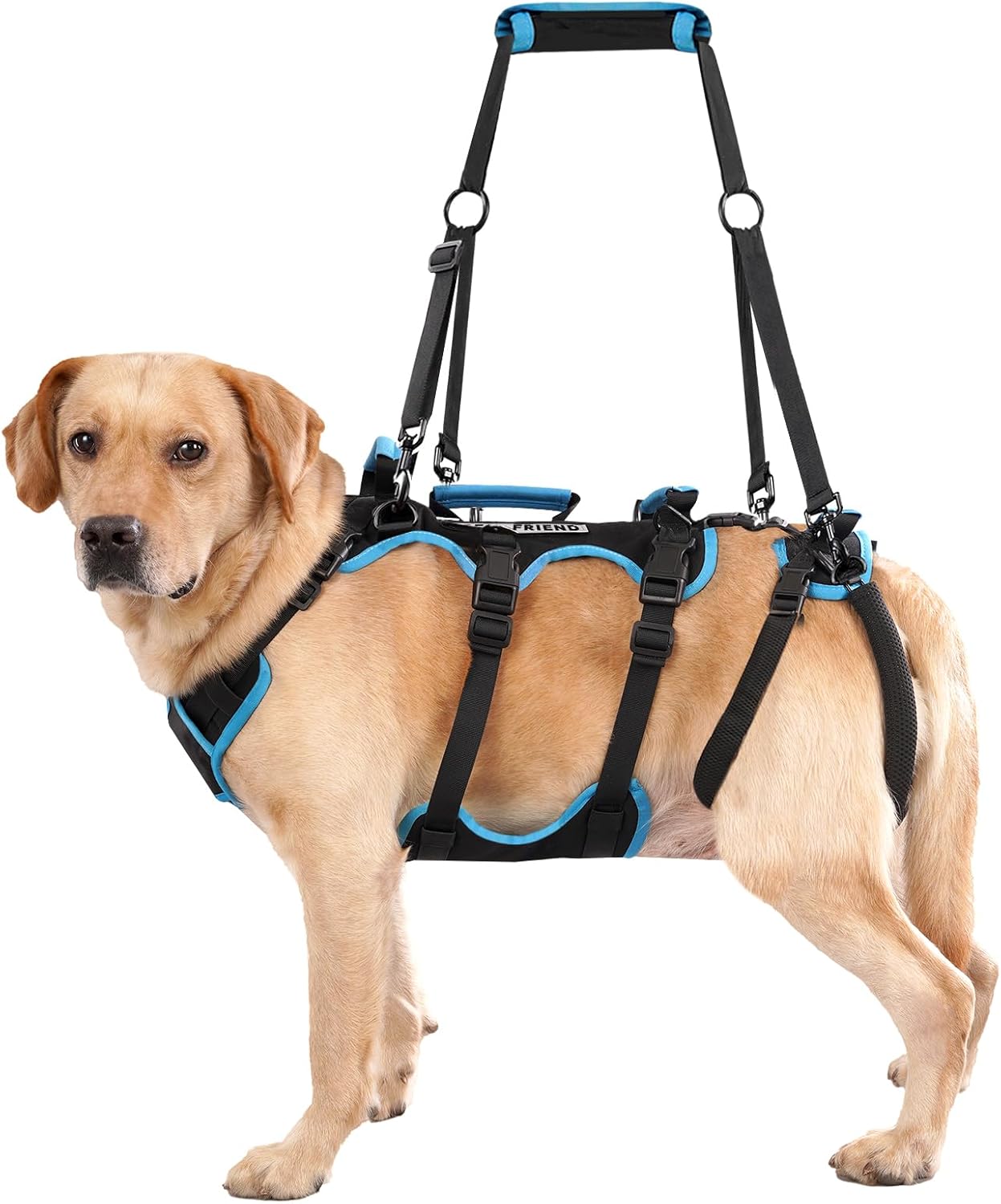 Lafoty Dog lift harness